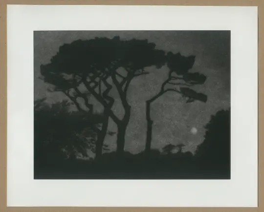 Hazy moon, Cornwall.