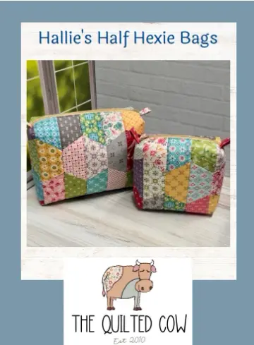 Hallie's Half Hexie Bags