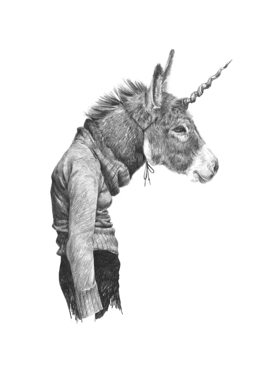 Donkey