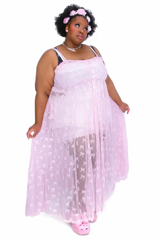 Venus Ribbon Mesh Maxi Dress