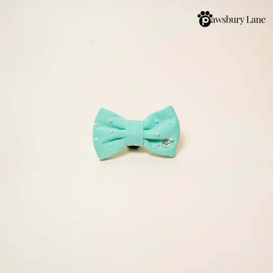 Sugar and Pearls - Seafoam - Pet Bow Tie