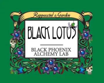 Black Lotus Perfume Oil