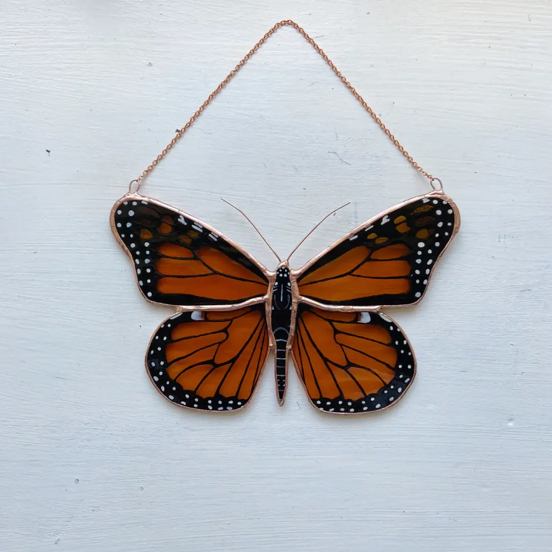 Monarch Butterfly no.7
