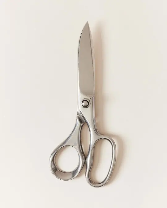 Stainless Kitchen Shears