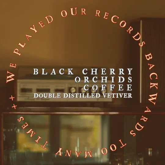 We Played Our Records Backwards Too Many Times - Perfume