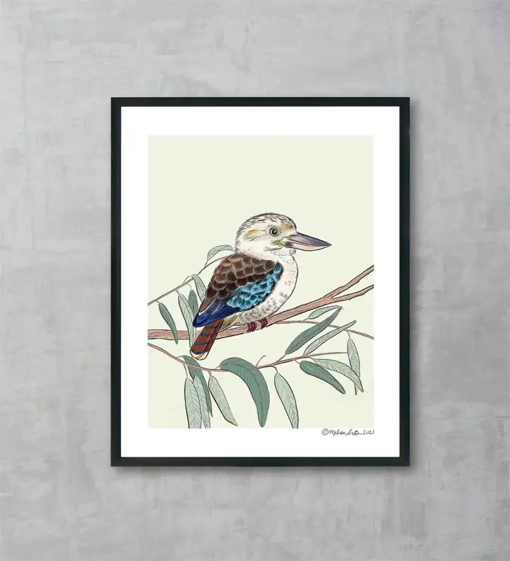 Kookaburra Bird Fine Art Print