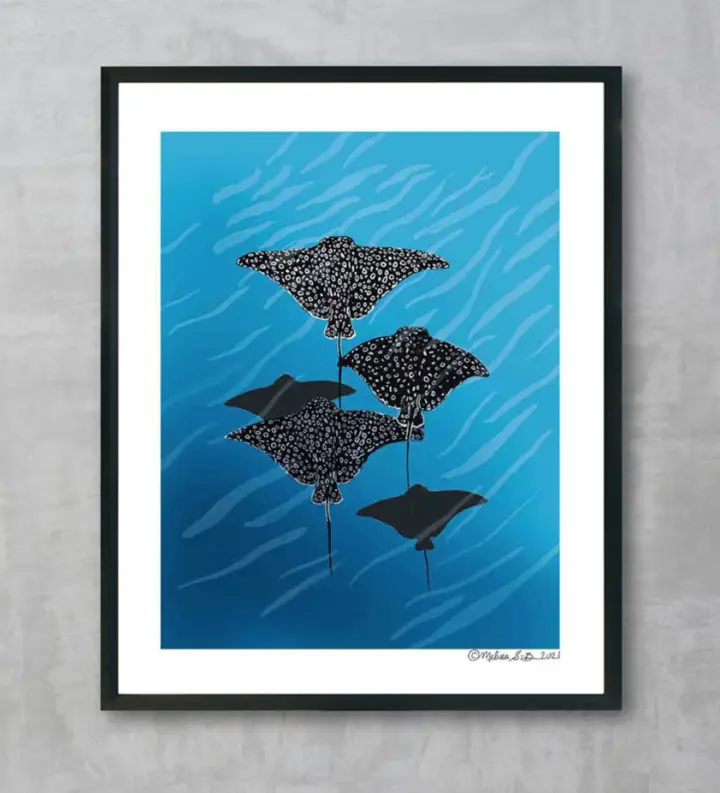 Sting Ray Fine Art Print, Wholesale