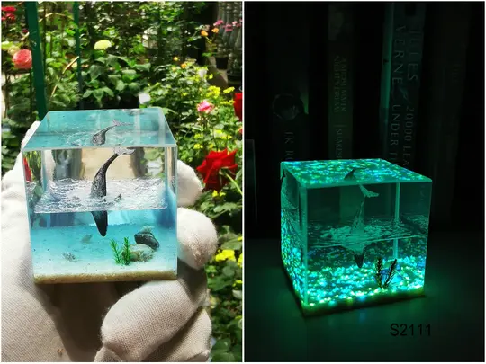 resin cube