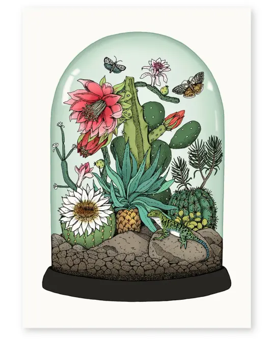 'Cactus Dome' Limited Edition Art Print