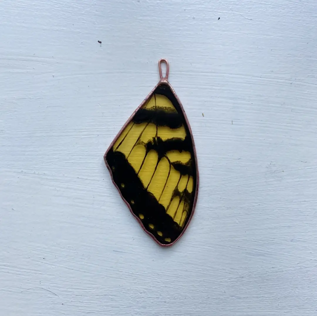 Tiger Swallowtail Butterfly Wing