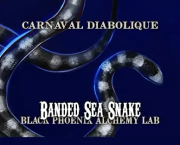 Banded Sea Snake Perfume Oil