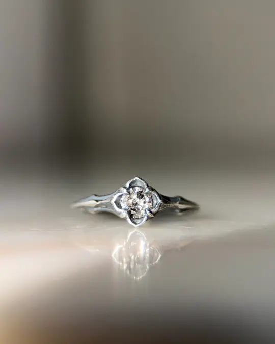 Baby Daphne // 5mm Salt & Pepper Diamond // 8