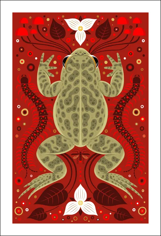 Fowlers Toad Print