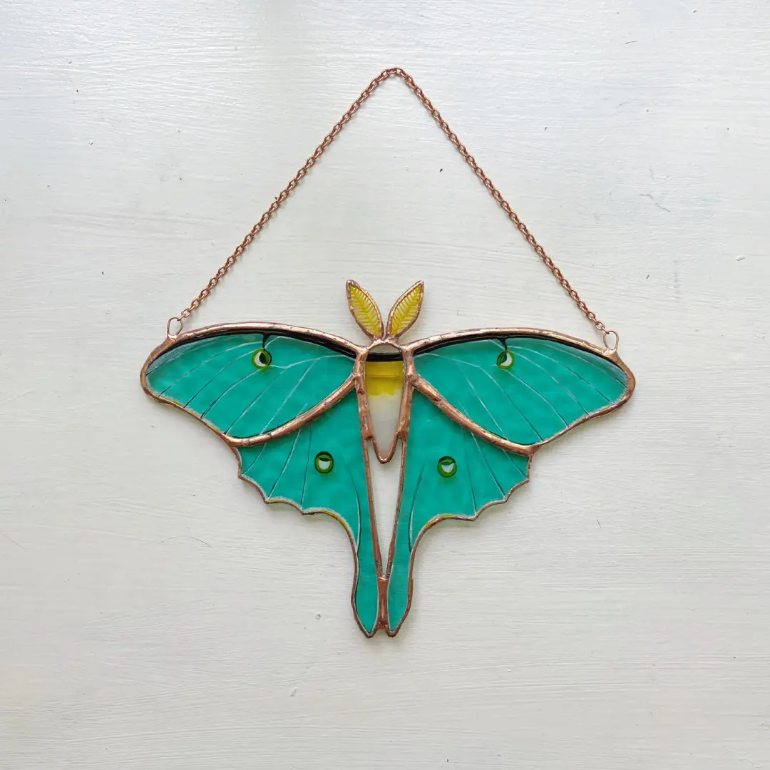 Luna Moth no.2