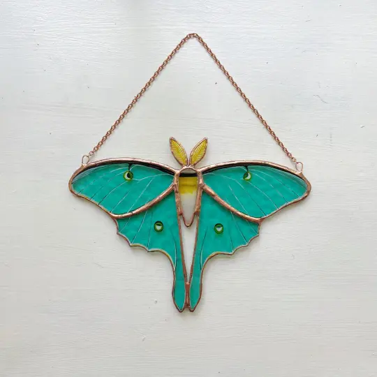 Luna Moth no.2