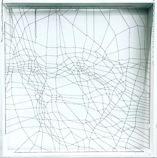RHIZOME 06