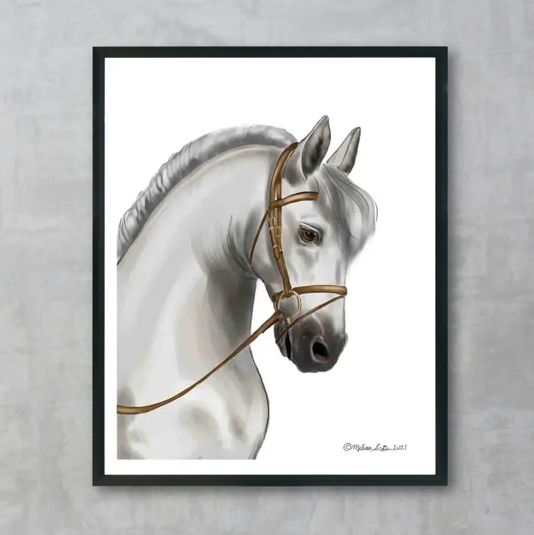 White Horse Fine Art Print, Wholesale