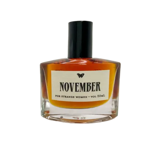 November in the Temperate Deciduous Forest