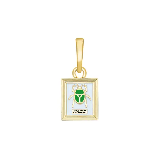 Beetle Specimen Charm