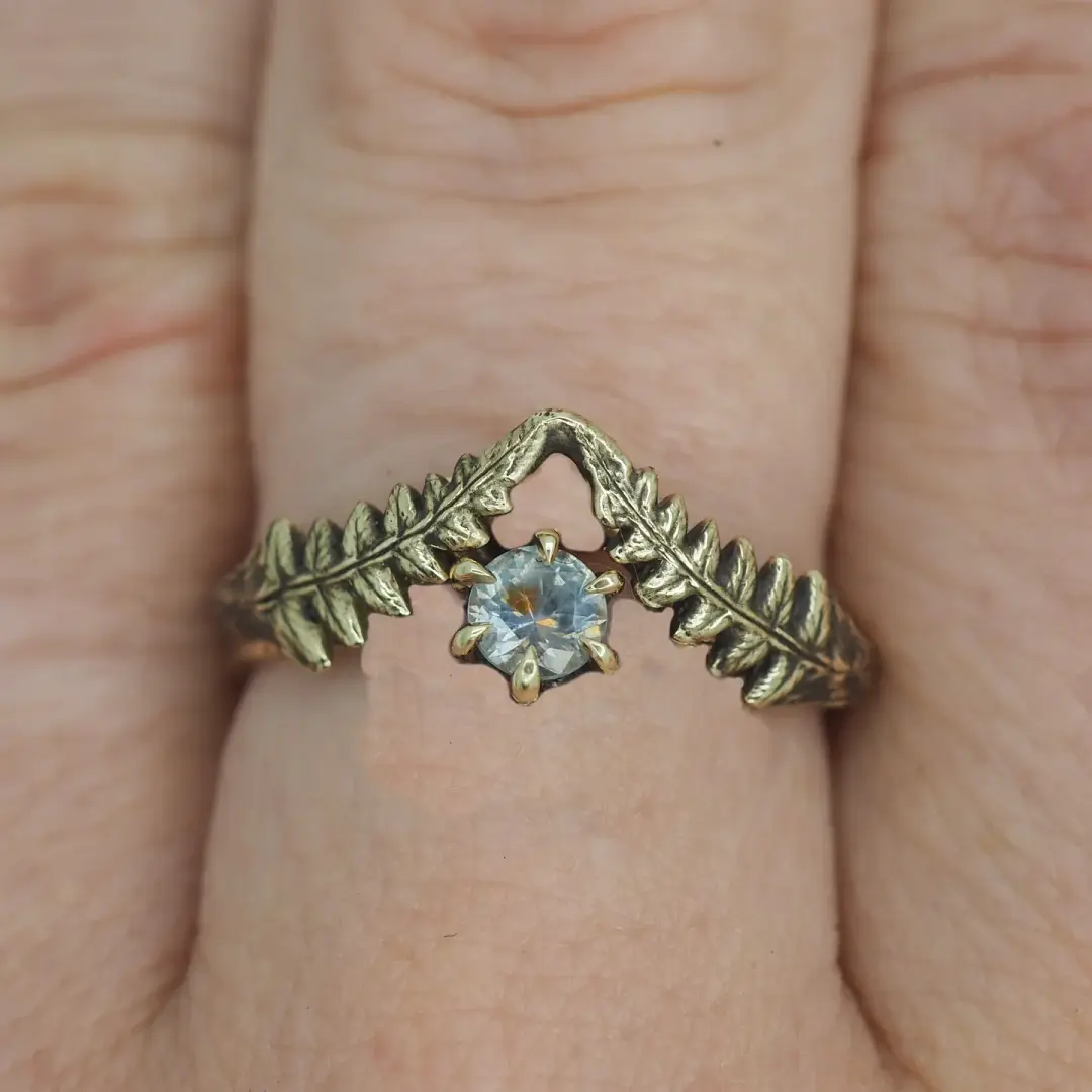 Lady fern and Montana sapphire ring for G