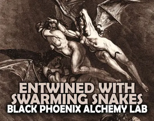 Entwined with Swarming Snakes Perfume Oil