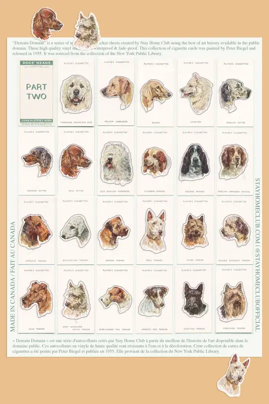 Dogs' Heads / Part 2 - Mega Sticker Sheet