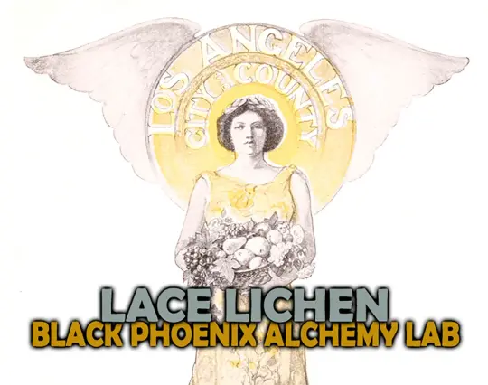 Lace Lichen Perfume Oil