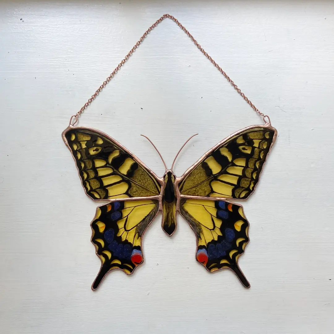 Old World Swallowtail Butterfly