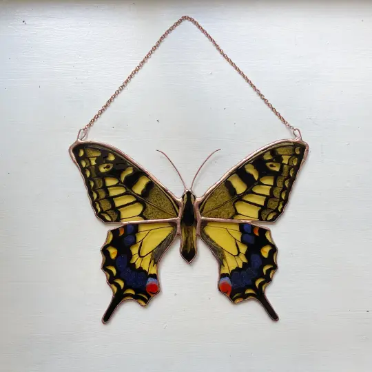 Old World Swallowtail Butterfly
