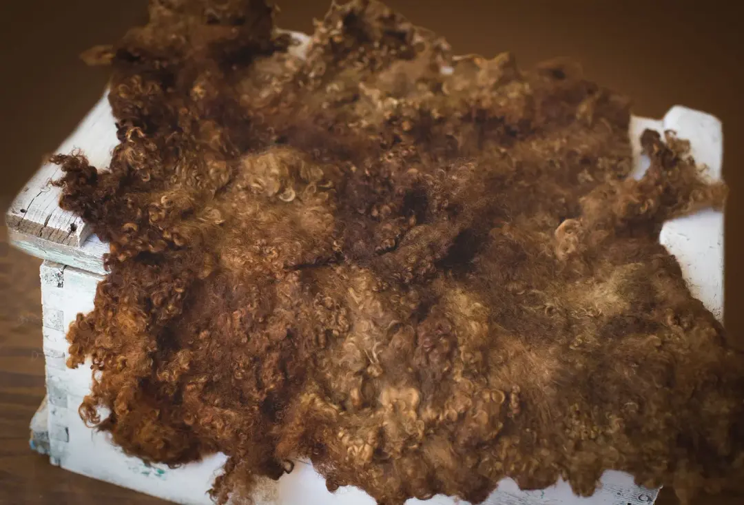 Nest of Curls Blanket - Chocolate Dream