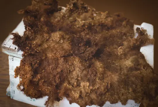 Nest of Curls Blanket - Chocolate Dream