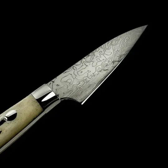 Takeshi Saji SG2 Diamond Petty 90mm with Cow Horn Handle