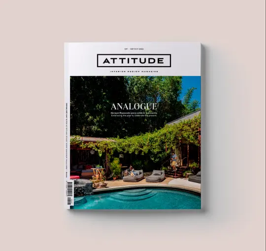 Issue 107: Analogue