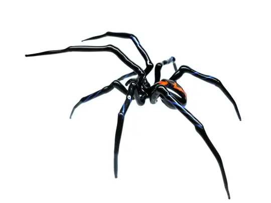 Black Glass Widow Spider With Orange Spot – Handmade Art Piece
