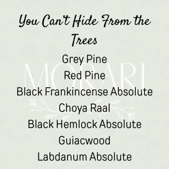 You Can't Hide From The Trees