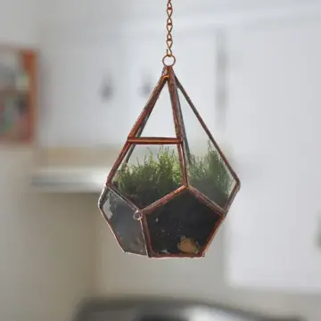 Teardrop Terrarium Kit, small hinged