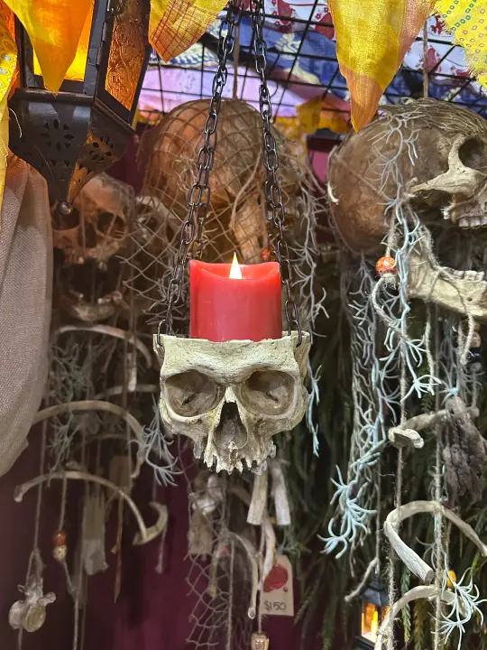 Half Skull Hanging