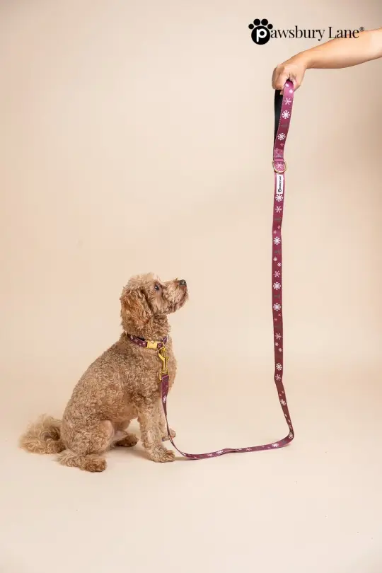 Snowflakes and Pines - Collar and Leash Set