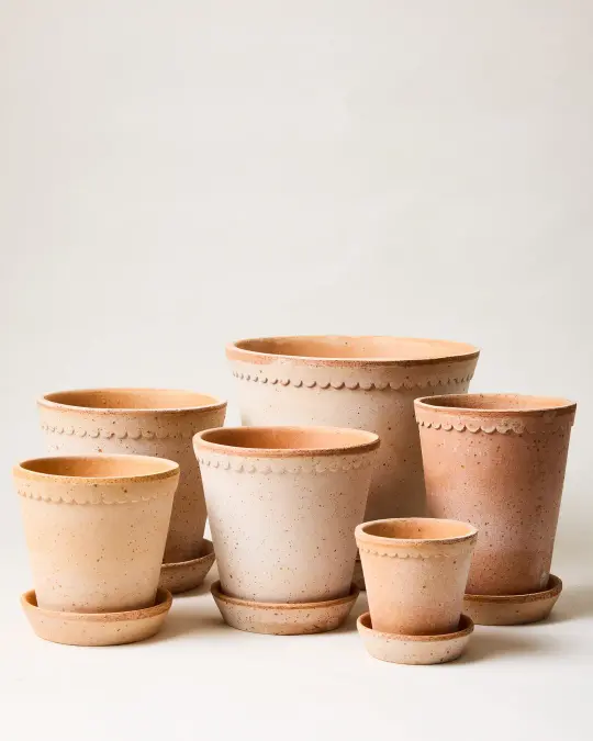 Scalloped Terracotta Garden Pot and Saucer