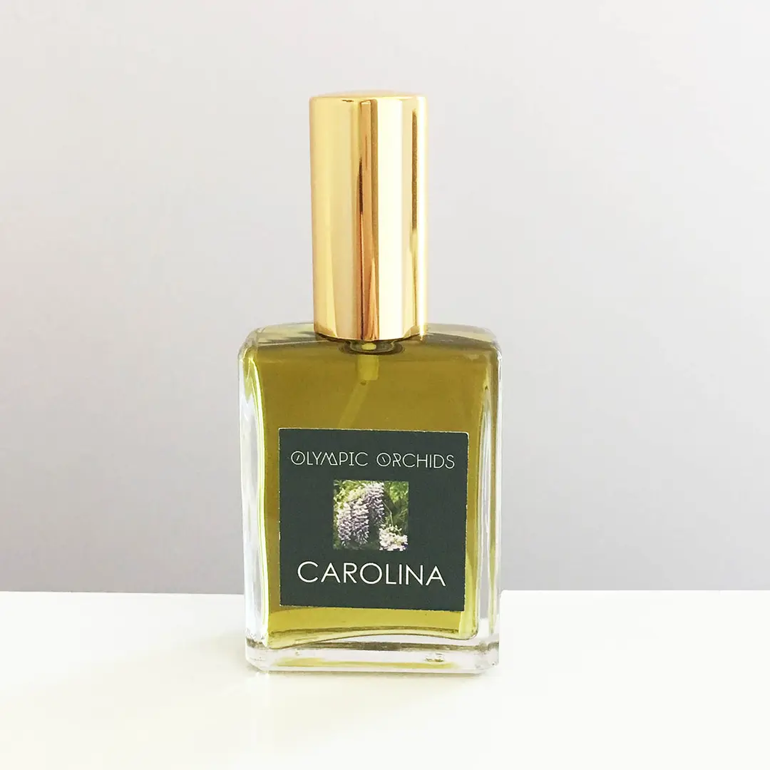 Carolina