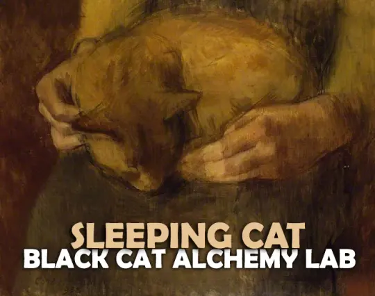 Sleeping Cat Perfume Oil