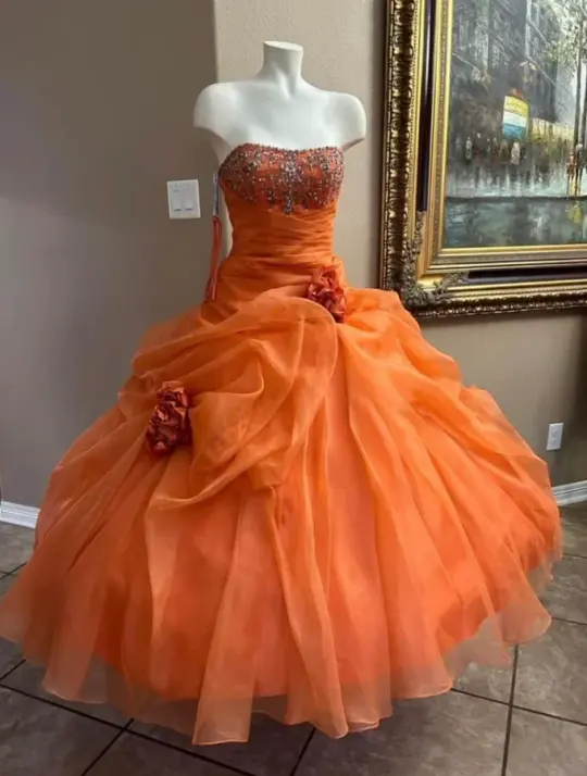Puffy Tulle Applique Corset Prom Gown , Orange Vibrant Women's Maxi Birthday Dress RS2517