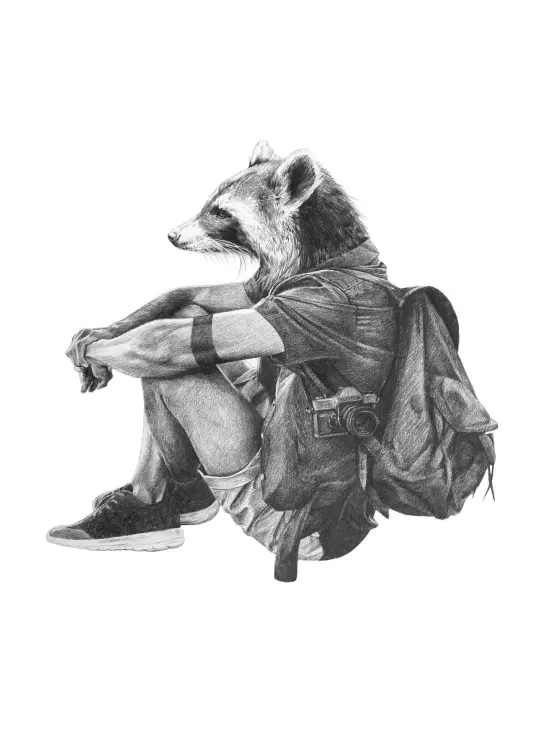 Raccoon