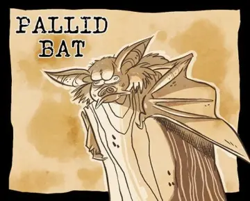 Pallid Bat Perfume Oil
