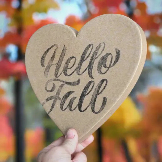 Heart-Shaped Mystery Boxes :: Hello Fall