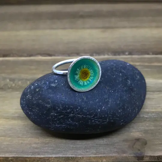 Sprout Rings