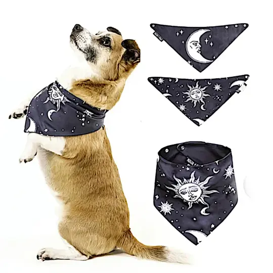 Celestial Reversible Pet Bandana in Black & White with Snap Closure