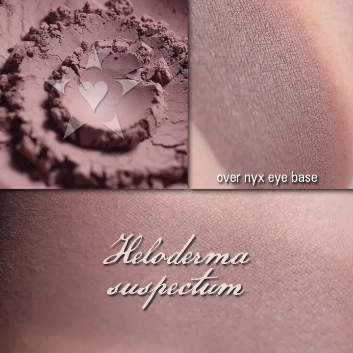 HELODERMA SUSPECTUM - Contour - Multipurpose (Cheek/Face/Eye Safe)