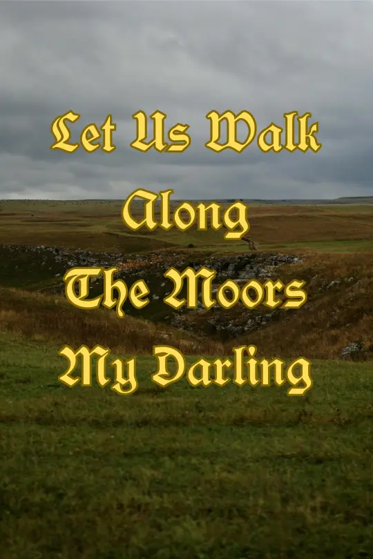 Let Us Walk Along The Moors My Darling - LE