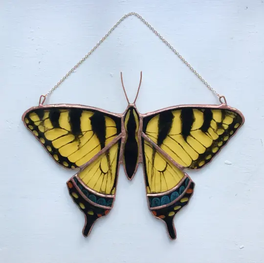 Swallowtail Butterfly